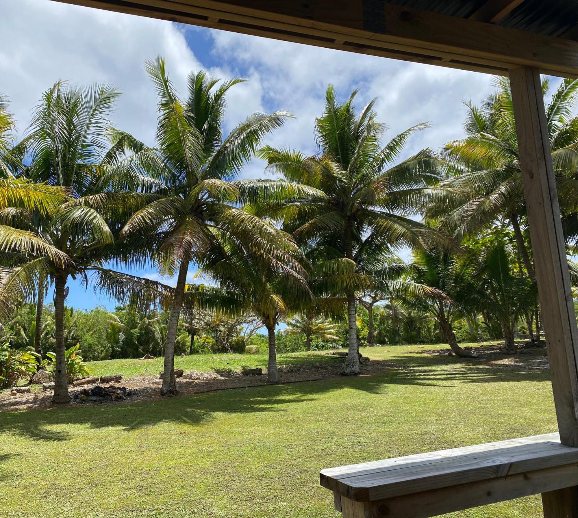 David'S Fale, Alofi, Niue Luaran gambar